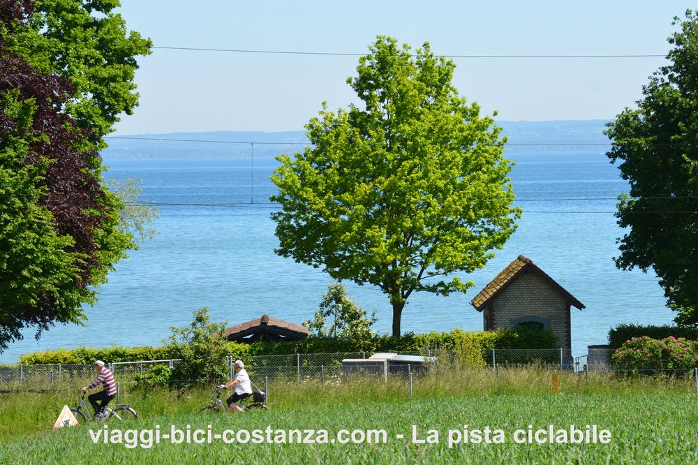 La pista ciclabile - Lago di Costanza - Frasnacht